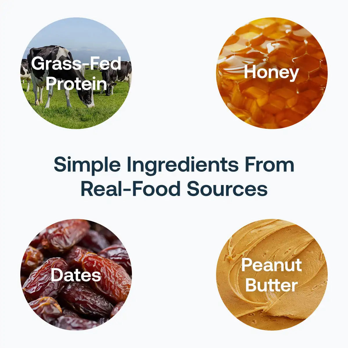 Grass-Fed Protein+ Bars